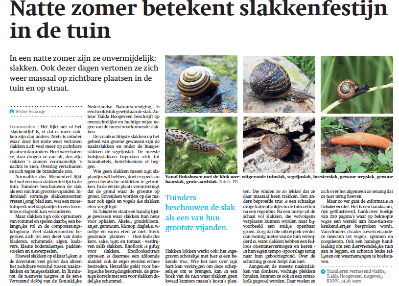 frieschdagblad