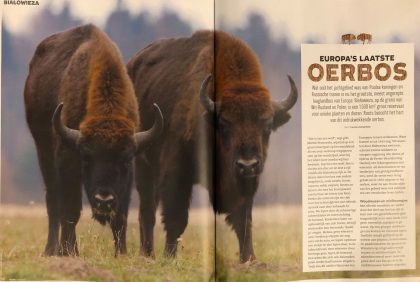 Roots: Bialowieza, Europa’s laatste oerbos