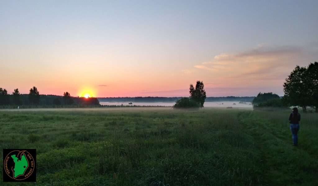 Bialowieza