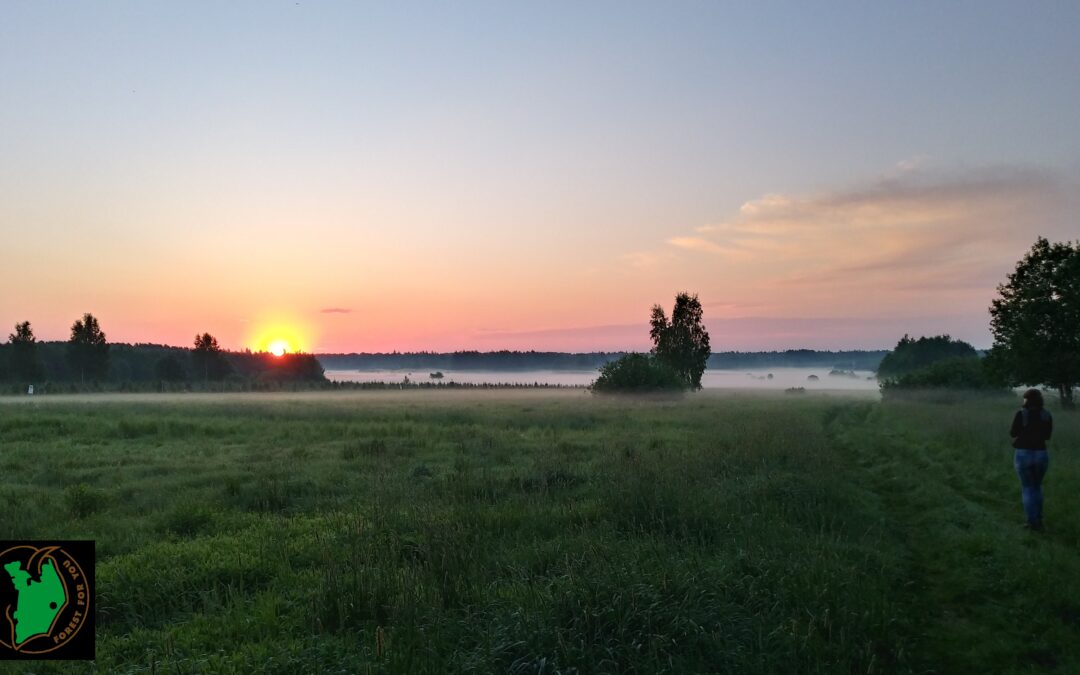 Voor Roots naar Bialowieza
