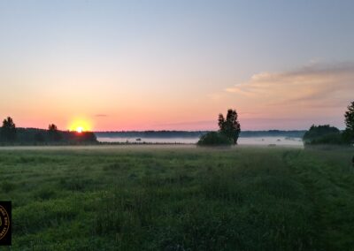 Bialowieza