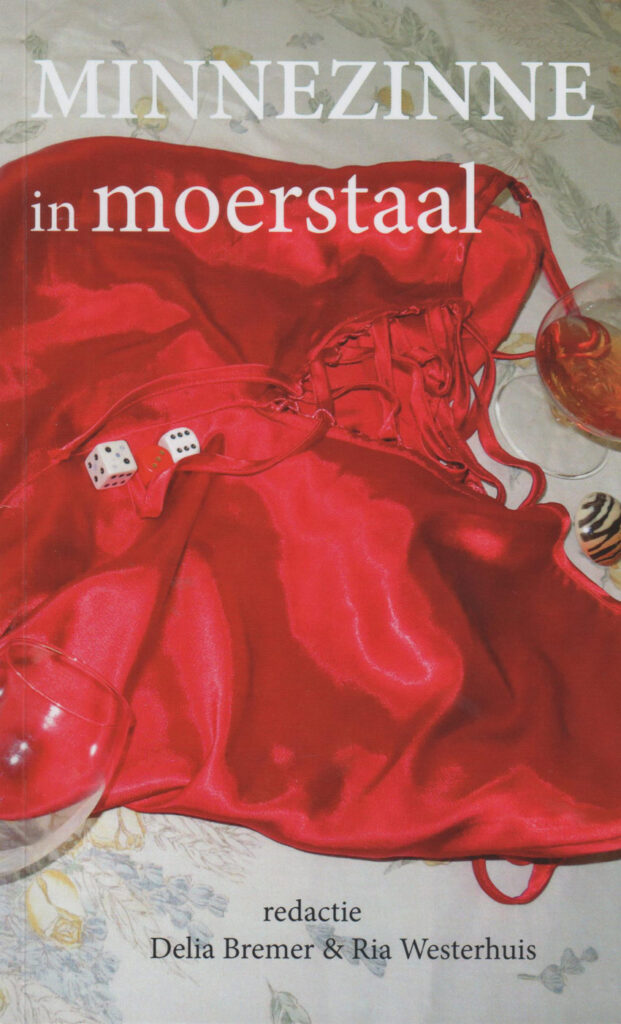 Omslag Minnezinne in moerstaal